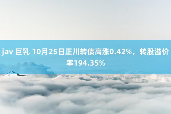jav 巨乳 10月25日正川转债高涨0.42%，转股溢价率194.35%