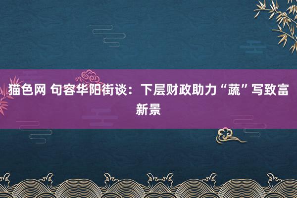 猫色网 句容华阳街谈：下层财政助力“蔬”写致富新景