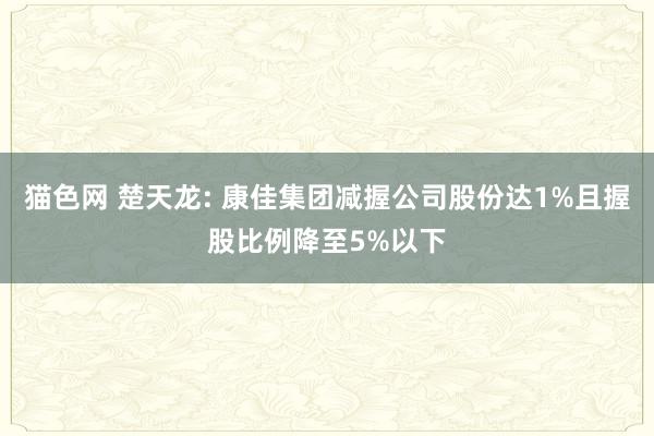 猫色网 楚天龙: 康佳集团减握公司股份达1%且握股比例降至5%以下