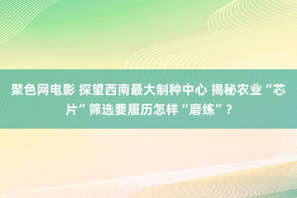 聚色网电影 探望西南最大制种中心 揭秘农业“芯片”筛选要履历怎样“磨练”？