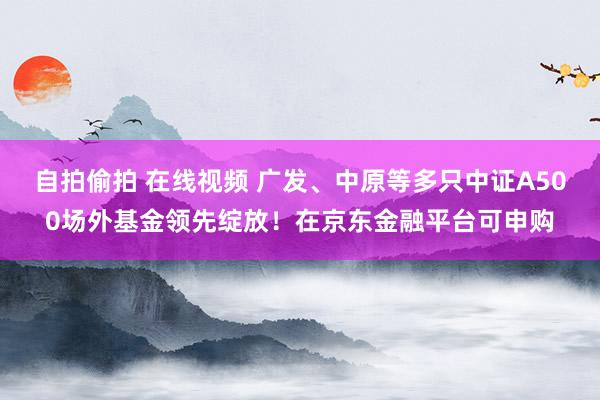 自拍偷拍 在线视频 广发、中原等多只中证A500场外基金领先绽放！在京东金融平台可申购