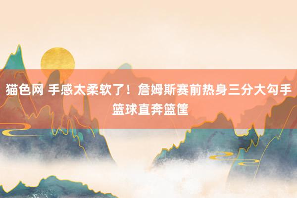 猫色网 手感太柔软了！詹姆斯赛前热身三分大勾手 篮球直奔篮筐