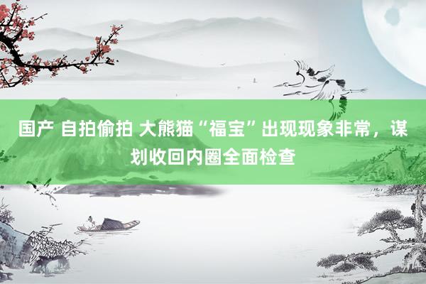 国产 自拍偷拍 大熊猫“福宝”出现现象非常，谋划收回内圈全面检查