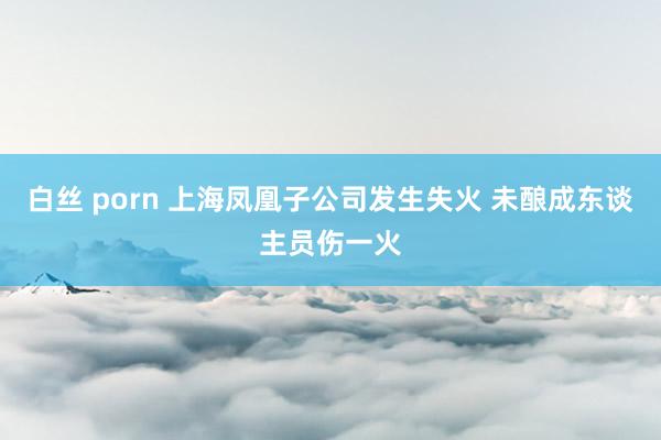 白丝 porn 上海凤凰子公司发生失火 未酿成东谈主员伤一火