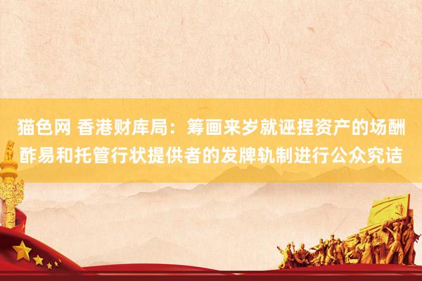 猫色网 香港财库局：筹画来岁就诬捏资产的场酬酢易和托管行状提供者的发牌轨制进行公众究诘