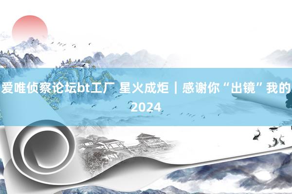 爱唯侦察论坛bt工厂 星火成炬｜感谢你“出镜”我的2024