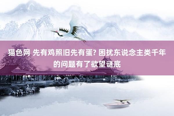 猫色网 先有鸡照旧先有蛋? 困扰东说念主类千年的问题有了欲望谜底