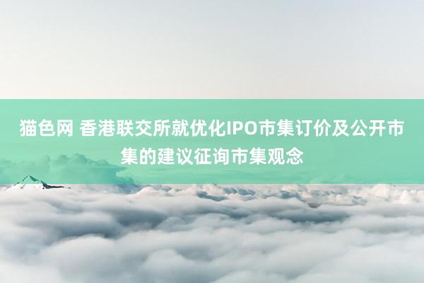 猫色网 香港联交所就优化IPO市集订价及公开市集的建议征询市集观念