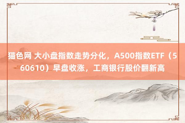 猫色网 大小盘指数走势分化，A500指数ETF（560610）早盘收涨，工商银行股价翻新高