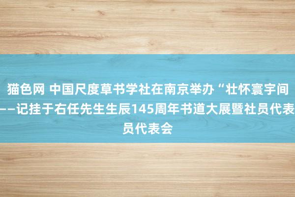 猫色网 中国尺度草书学社在南京举办“壮怀寰宇间”——记挂于右任先生生辰145周年书道大展暨社员代表会