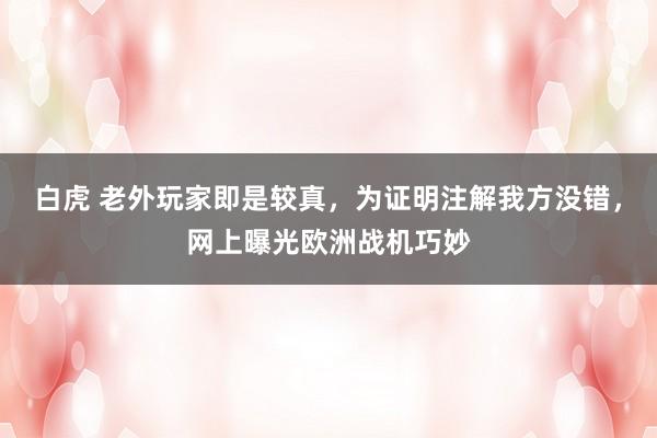 白虎 老外玩家即是较真，为证明注解我方没错，网上曝光欧洲战机巧妙