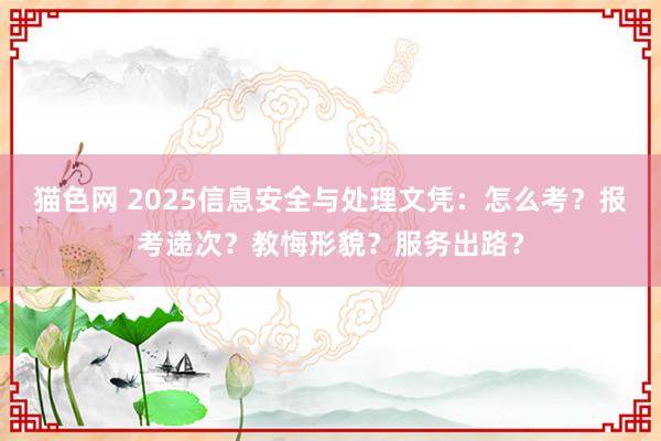 猫色网 2025信息安全与处理文凭：怎么考？报考递次？教悔形貌？服务出路？