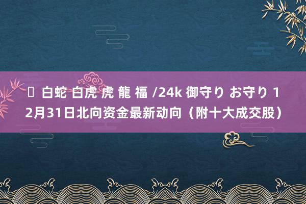 ✨白蛇 白虎 虎 龍 福 /24k 御守り お守り 12月31日北向资金最新动向（附十大成交股）