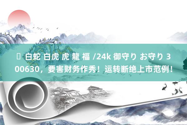 ✨白蛇 白虎 虎 龍 福 /24k 御守り お守り 300630，要害财务作秀！运转断绝上市范例！
