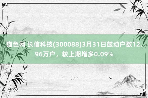 猫色网 长信科技(300088)3月31日鼓动户数12.96万户，较上期增多0.09%